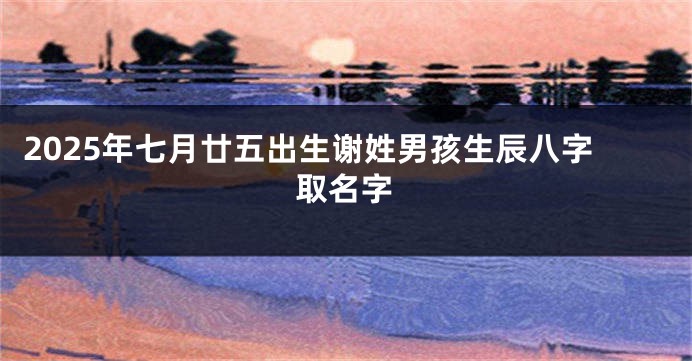 2025年七月廿五出生谢姓男孩生辰八字取名字