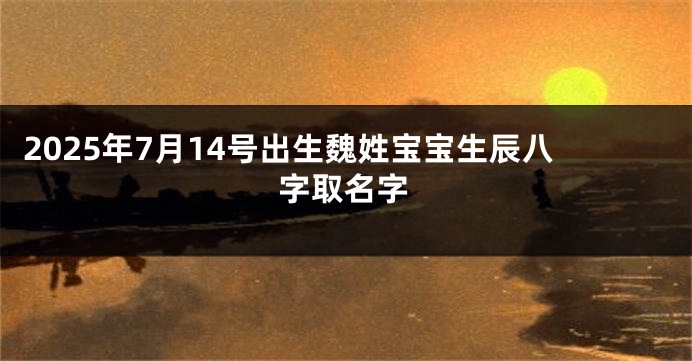 2025年7月14号出生魏姓宝宝生辰八字取名字