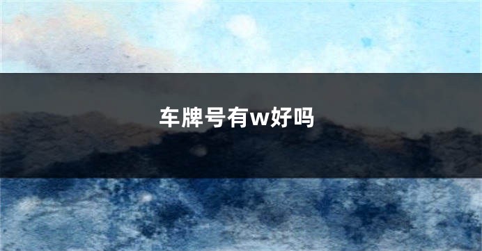 车牌号有w好吗