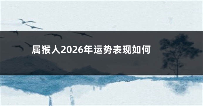 属猴人2026年运势表现如何