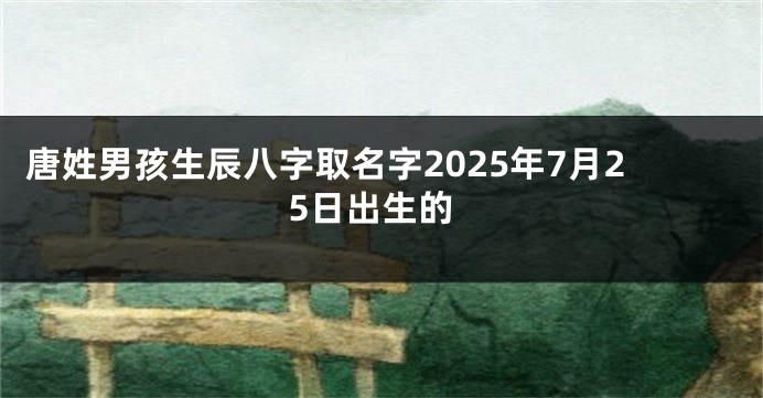 唐姓男孩生辰八字取名字2025年7月25日出生的