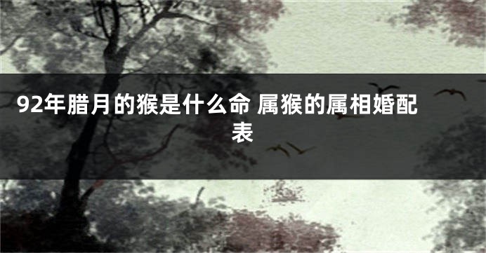 92年腊月的猴是什么命 属猴的属相婚配表