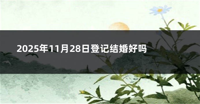 2025年11月28日登记结婚好吗