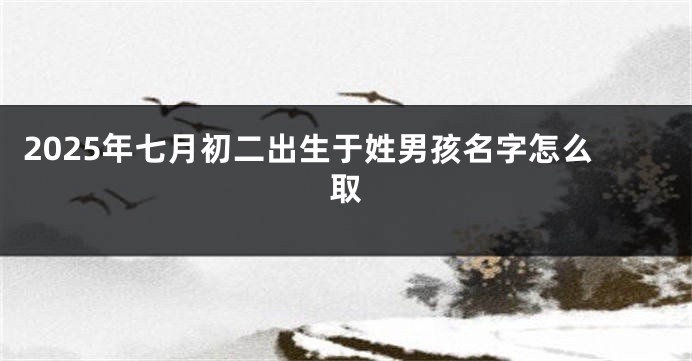2025年七月初二出生于姓男孩名字怎么取