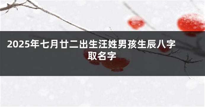 2025年七月廿二出生汪姓男孩生辰八字取名字