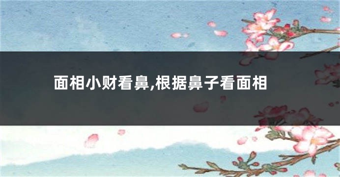 面相小财看鼻,根据鼻子看面相