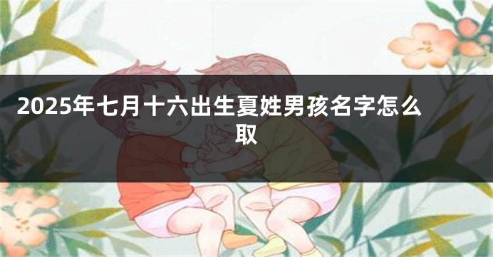 2025年七月十六出生夏姓男孩名字怎么取