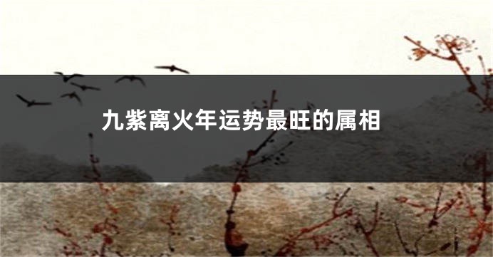 九紫离火年运势最旺的属相