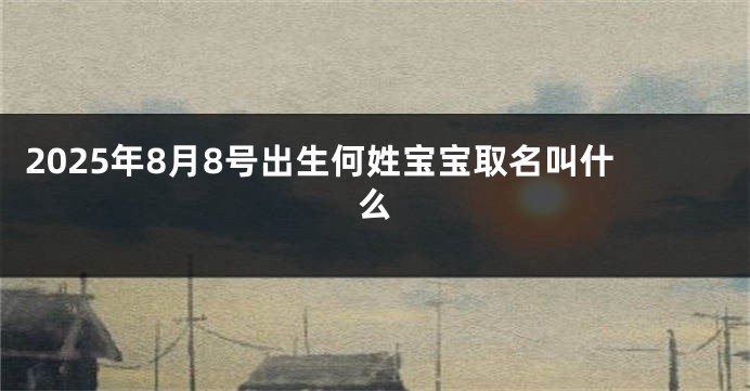 2025年8月8号出生何姓宝宝取名叫什么