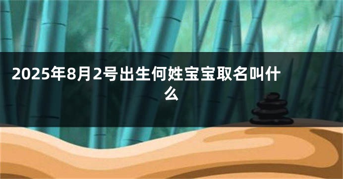 2025年8月2号出生何姓宝宝取名叫什么