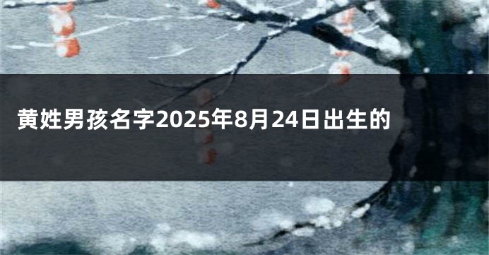 黄姓男孩名字2025年8月24日出生的