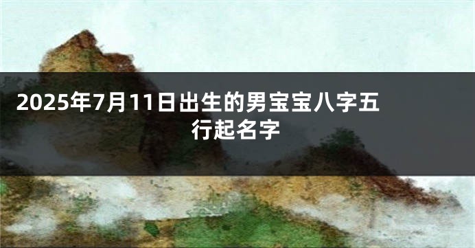 2025年7月11日出生的男宝宝八字五行起名字