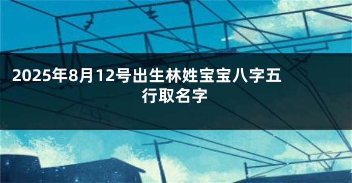 2025年8月12号出生林姓宝宝八字五行取名字