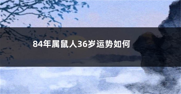 84年属鼠人36岁运势如何
