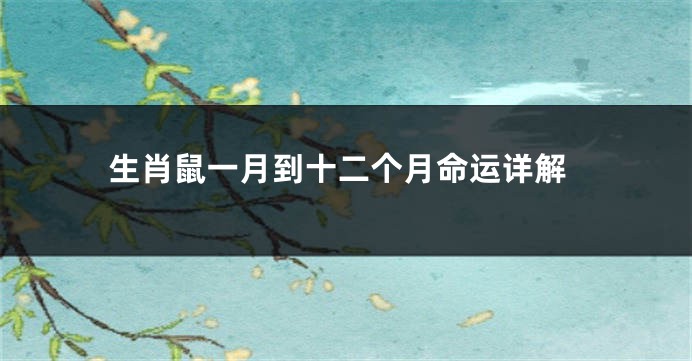 生肖鼠一月到十二个月命运详解