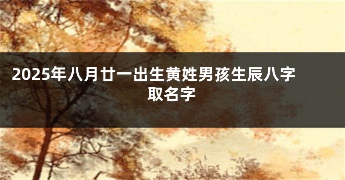 2025年八月廿一出生黄姓男孩生辰八字取名字