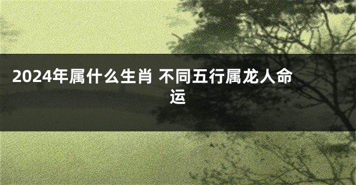 2024年属什么生肖 不同五行属龙人命运