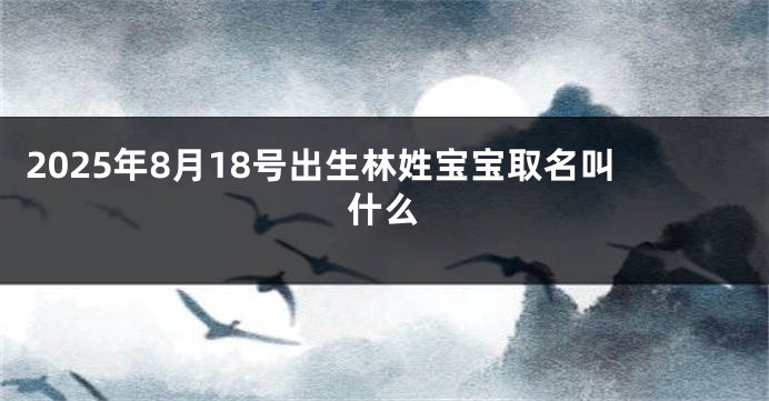 2025年8月18号出生林姓宝宝取名叫什么