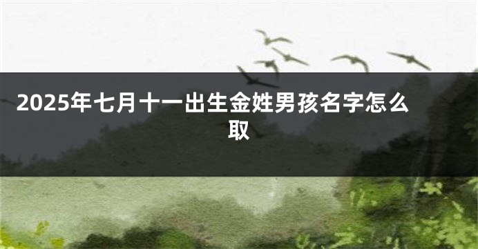 2025年七月十一出生金姓男孩名字怎么取
