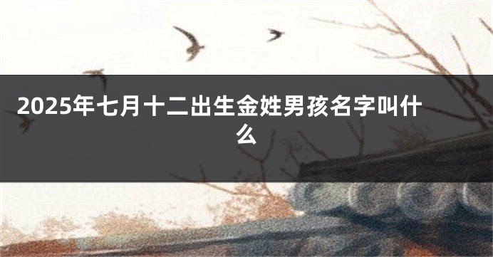 2025年七月十二出生金姓男孩名字叫什么