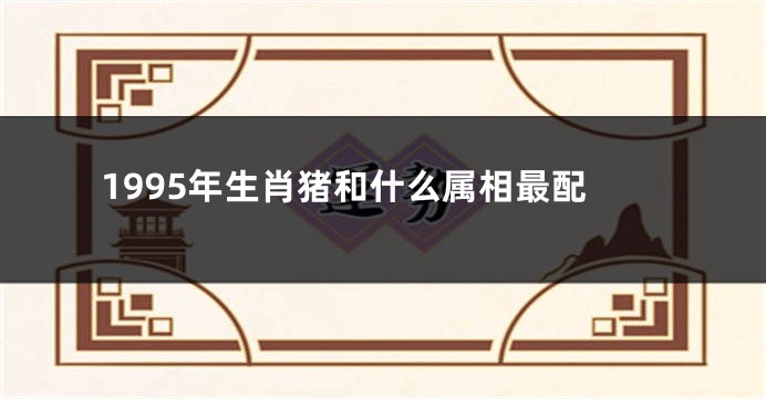 1995年生肖猪和什么属相最配