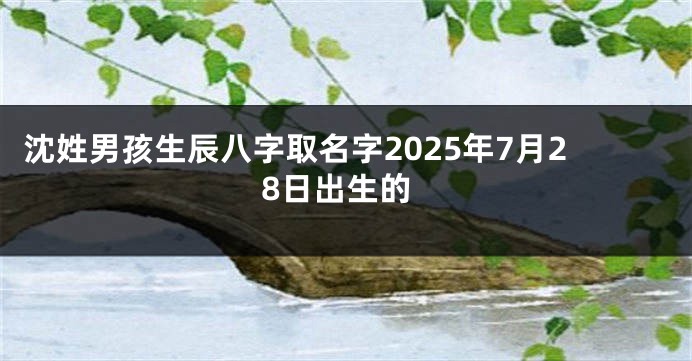 沈姓男孩生辰八字取名字2025年7月28日出生的