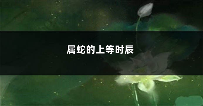 属蛇的上等时辰