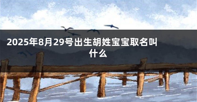 2025年8月29号出生胡姓宝宝取名叫什么