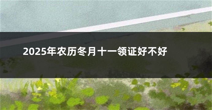 2025年农历冬月十一领证好不好