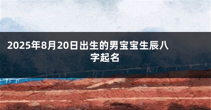 2025年8月20日出生的男宝宝生辰八字起名