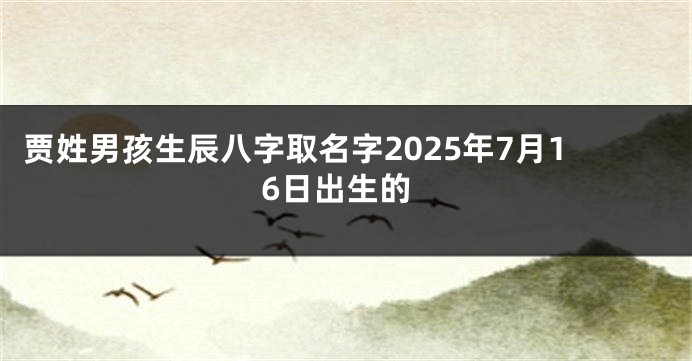 贾姓男孩生辰八字取名字2025年7月16日出生的