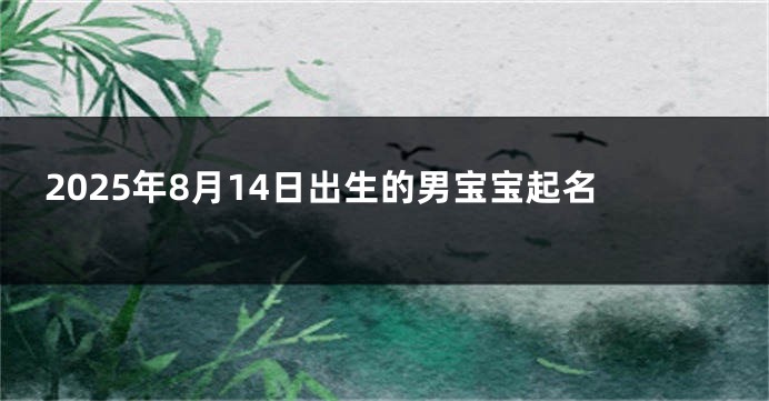 2025年8月14日出生的男宝宝起名