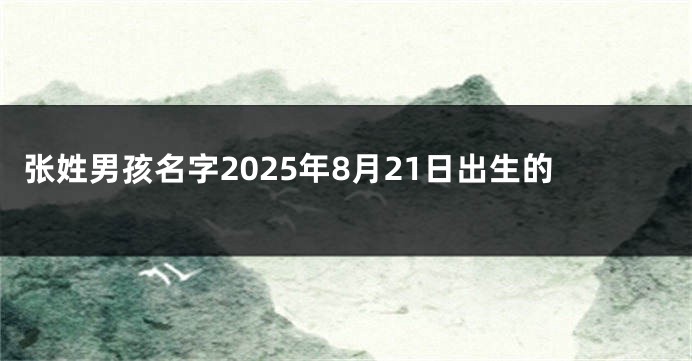 张姓男孩名字2025年8月21日出生的