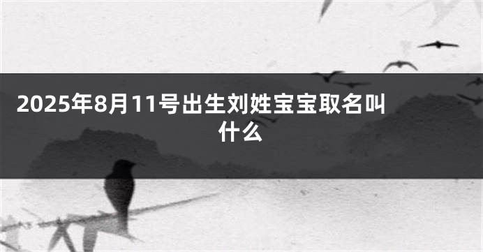 2025年8月11号出生刘姓宝宝取名叫什么
