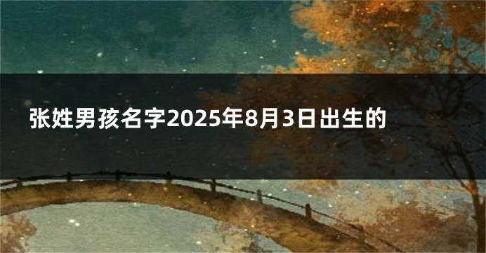 张姓男孩名字2025年8月3日出生的