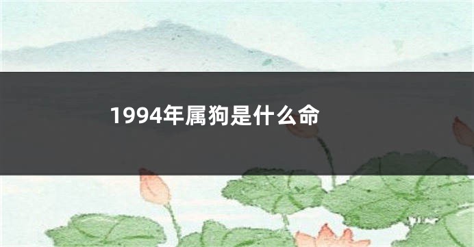 1994年属狗是什么命