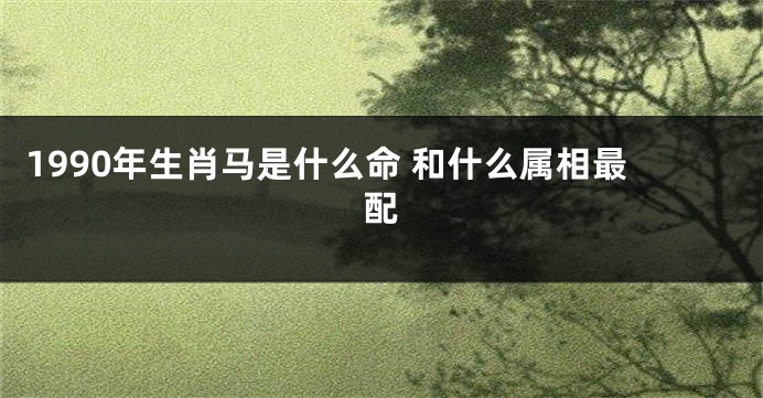 1990年生肖马是什么命 和什么属相最配