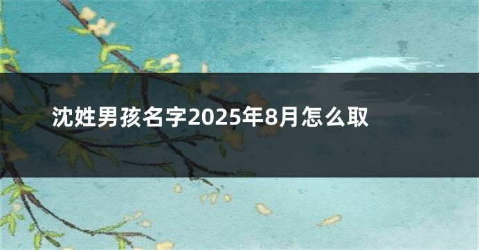 沈姓男孩名字2025年8月怎么取