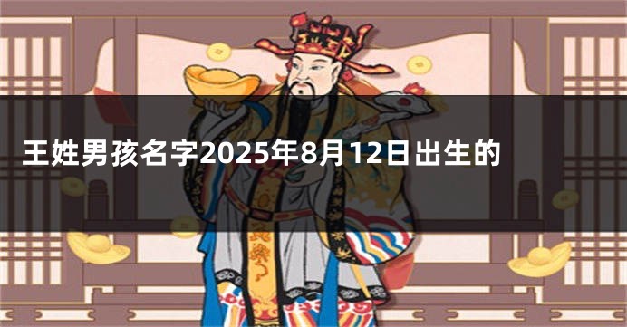 王姓男孩名字2025年8月12日出生的