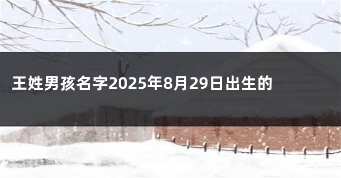 王姓男孩名字2025年8月29日出生的