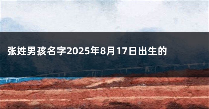 张姓男孩名字2025年8月17日出生的