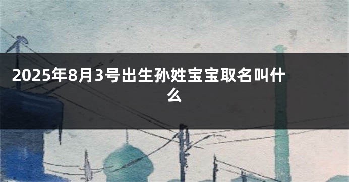 2025年8月3号出生孙姓宝宝取名叫什么