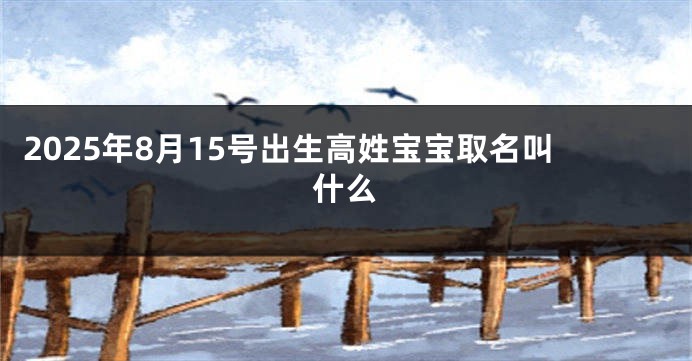 2025年8月15号出生高姓宝宝取名叫什么