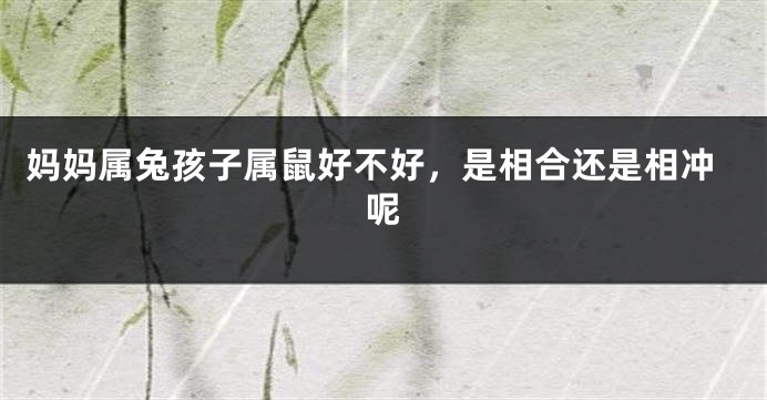 妈妈属兔孩子属鼠好不好，是相合还是相冲呢