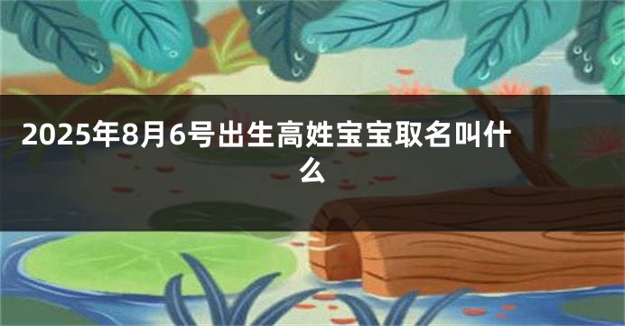 2025年8月6号出生高姓宝宝取名叫什么