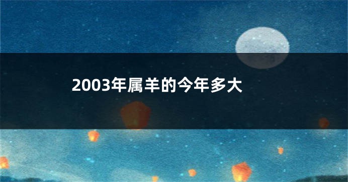2003年属羊的今年多大