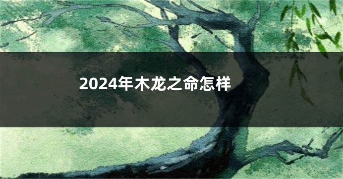 2024年木龙之命怎样