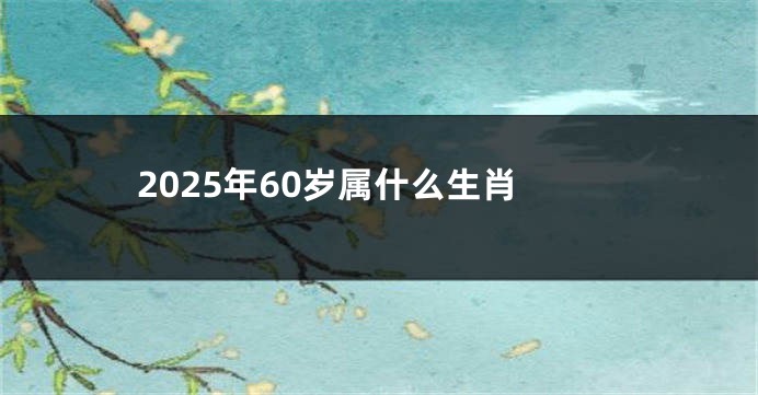 2025年60岁属什么生肖