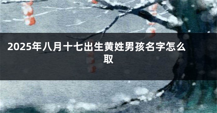2025年八月十七出生黄姓男孩名字怎么取