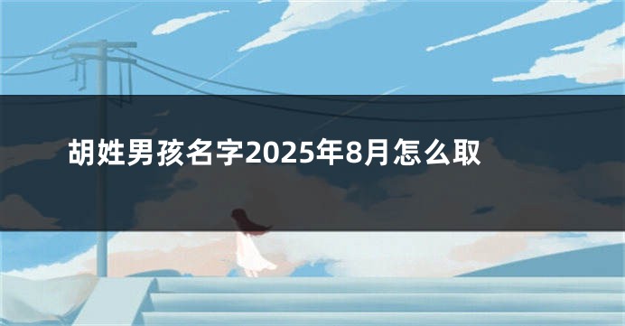胡姓男孩名字2025年8月怎么取